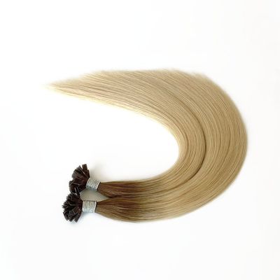Cheveux longs Pas de problème Améliorez votre apparence avec des extensions de cheveux à pointe plate pré-liées