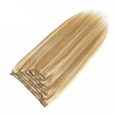 Cheveux supérieurs 20 pouces Couleur claire Remy Clip Ins Cheveux humains Extensions fournisseur Dyeable