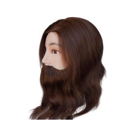 Mannequin masculin tête avec barbe mannequin de formation de coiffeur professionnel